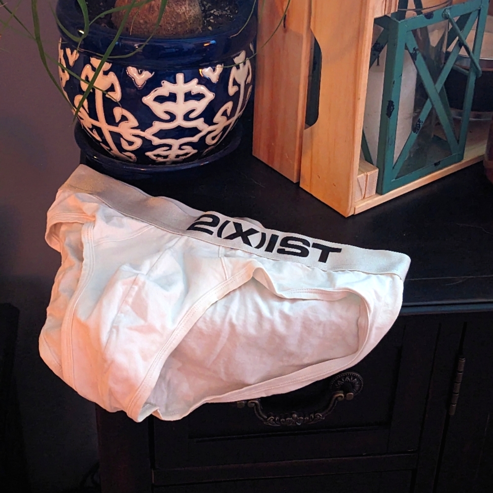 2xist white briefs